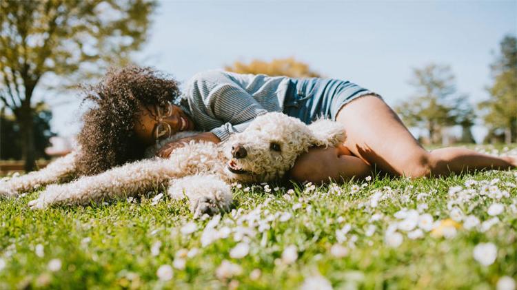 在公园里，一个女人抱着她的狗享受时光.